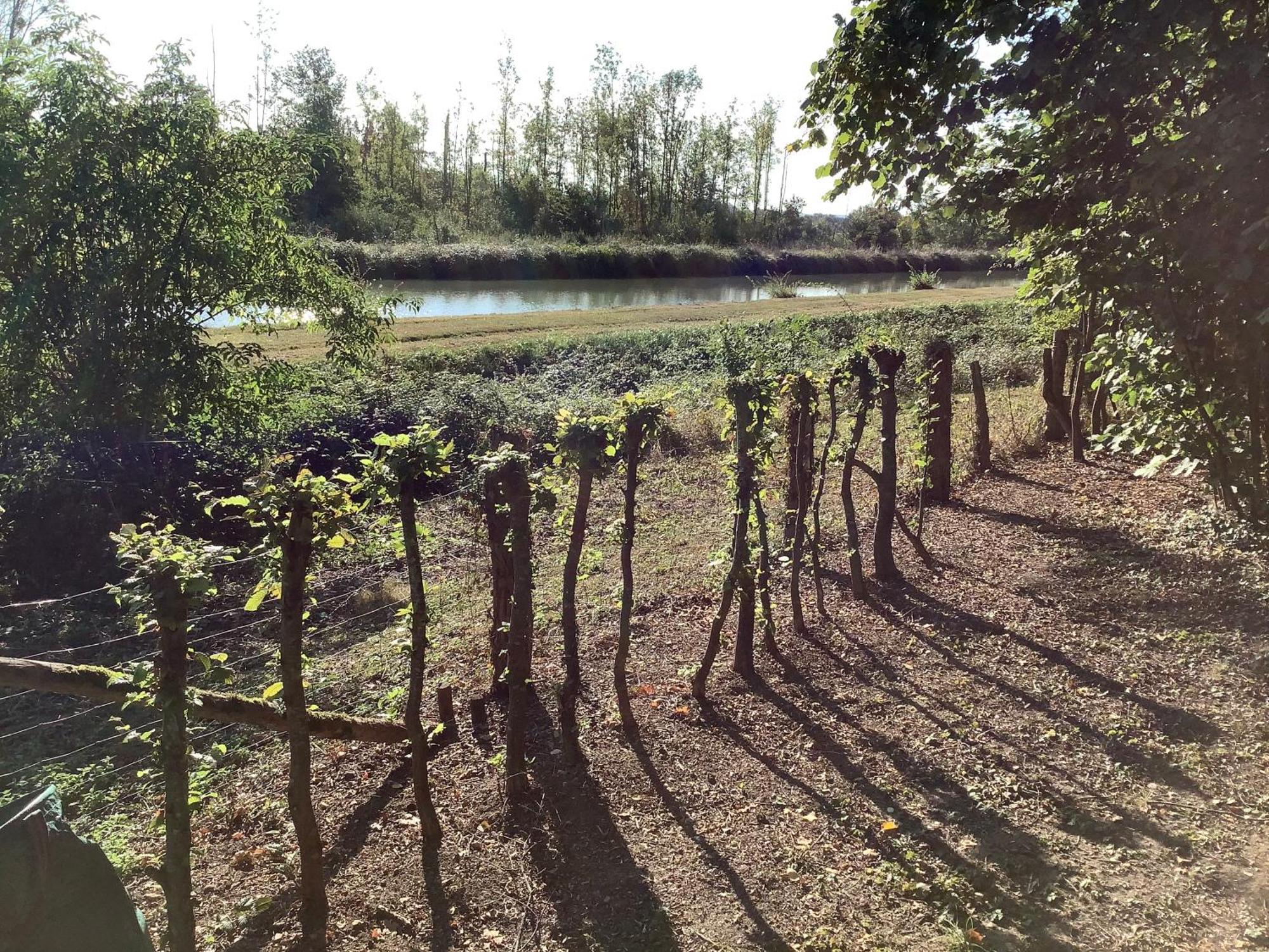 Autour Des Vignes B&B Herry Exteriör bild