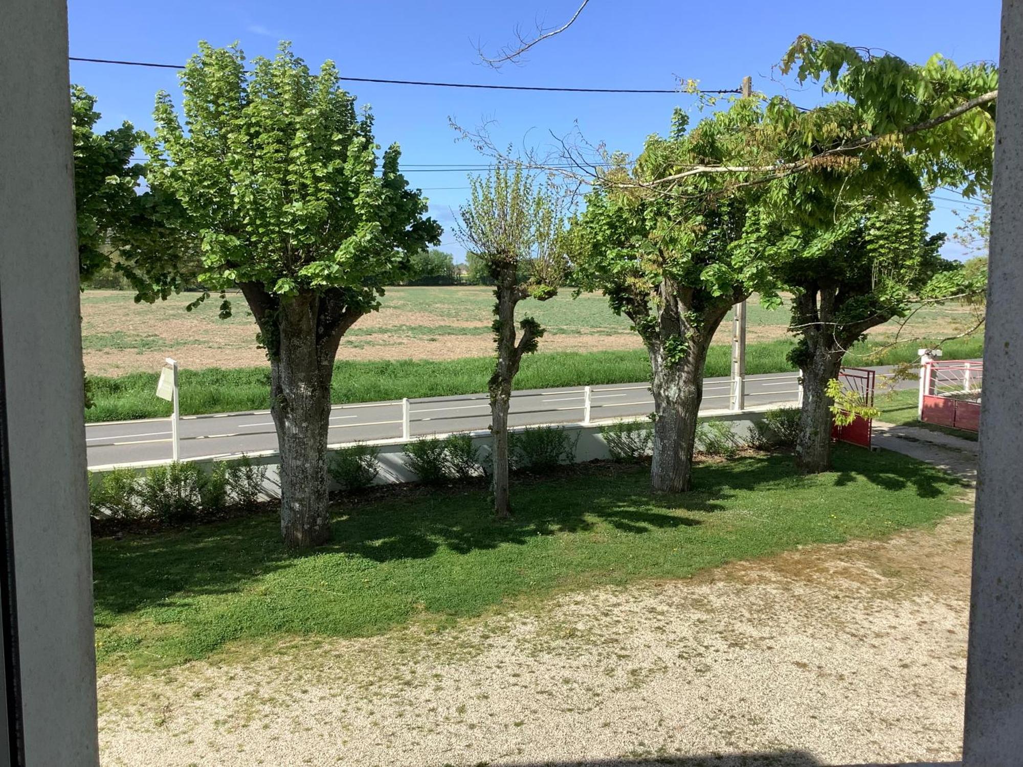 Autour Des Vignes B&B Herry Exteriör bild